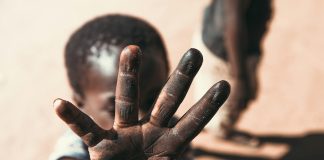 Dive into Zambian Heritage: A Cultural Tour of Mukuni Village Tour of Mukuni Village