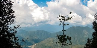 Why is Shivapuri Day Hiking in Nepal so Popular? Trekking in the Shivapuri National Park in Nepal.