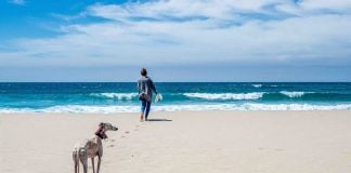 How to Move to Spain from the US: A Beginners Guide Moving to Spain - with your dog & other pets.