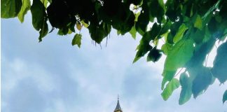 How to Spend Two Days in London: A Local’s Guide Double Decker bus and the Big Ben in London, UK.