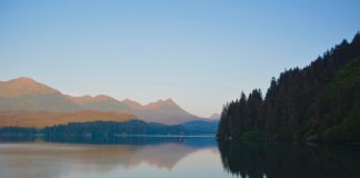 Fishing in Alaska View onto the water at the Treehouse Cove in Kachemak Bay Archipelago, Alaska, USA.