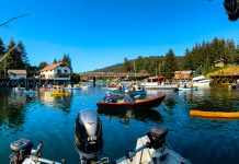 How to Plan a Trip to Alaska: The Ultimate Guide on What You Need to Know Water front concert Seldovia, Alaska, USA.