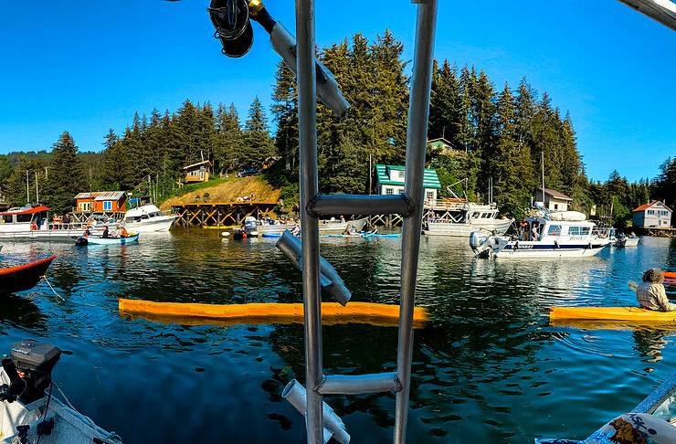 How to Plan a Trip to Alaska: The Ultimate Guide on What You Need to Know Water front concert Seldovia, Alaska, USA.