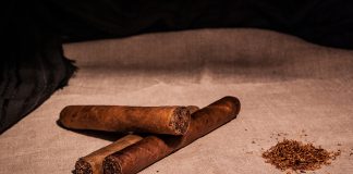 Dominican Cigars: Tradition, Excellence, and Passion Cigars