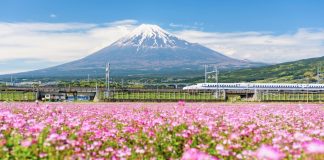 Tips for Traveling in Japan With Kids