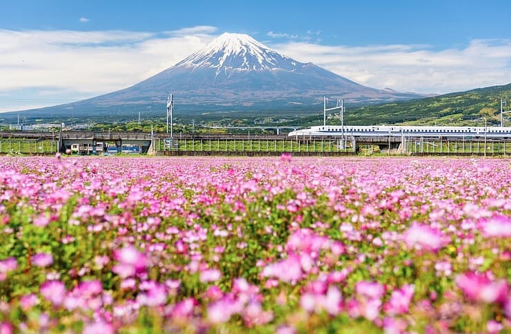 Tips for Traveling in Japan With Kids