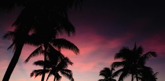 Tips for Island Hopping in Hawaii tips-for-island-hopping-in-hawaii-pic