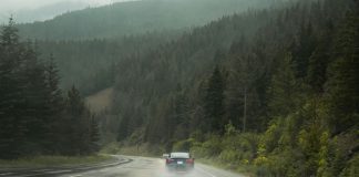 EV Travel Planner: The Best Destinations in the US for Traveling In an EV an EV driving down a forest highway