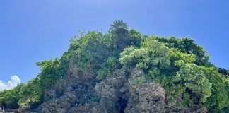 Ishigaki: The Southernmost Island of Okinawa Overgrown coral rocks on the beach in Ishigaki, Japan.