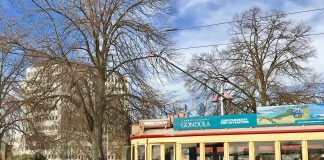 Visiting Christchurch: Your Travel Guide to Fun Tram in Christchurch, New Zealand.