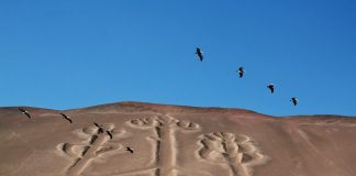 Exploring Peru’s Travel Gems: A Journey Through Nine Must-Visit Destinations Paracas Candelabra, a mysterious geoglyph etched into the desert floor. Pic by Peru Grand Travel.