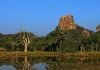 Best National Parks for Wildlife Safaris in Sri Lanka Yala National Park, Hambantota, Sri Lanka