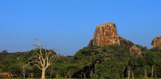 Best National Parks for Wildlife Safaris in Sri Lanka Yala National Park, Hambantota, Sri Lanka