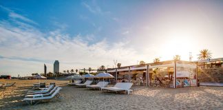 Beach Bites on a Budget: Top Cheap Chiringuitos in Barcelona - Homepage - Travel Dudes