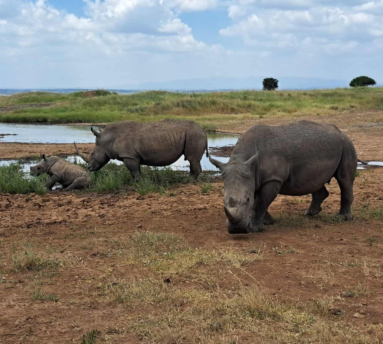 Tsavo National Park in Kenya