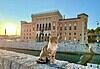 3-Day Sarajevo Itinerary: Culture, History, Nature Cat at the river at sunset in front of Vijećnica in Sarajevo.