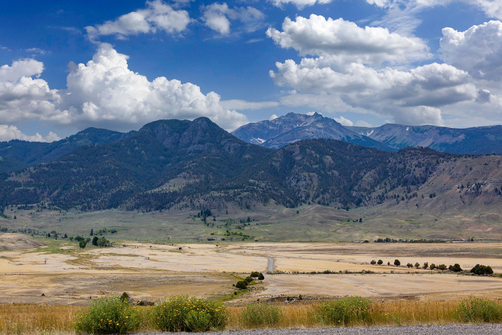 - The Best Off-Season Holiday Destinations: When to Visit for Fewer Crowds and Better Value Field in the Yellowstone National Park, USA.