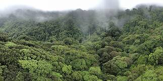 Top Costa Rica Travel Mistakes for First-Time Visitors (& How to Avoid Them) - Homepage - Travel Dudes