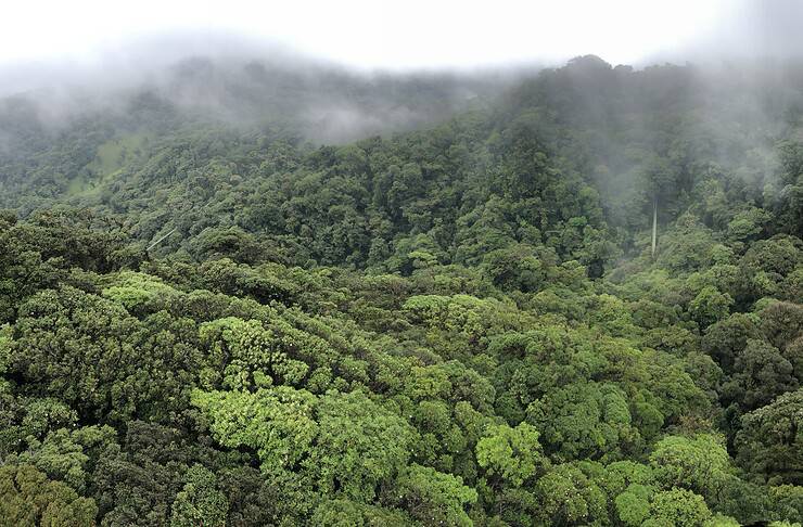 Top Costa Rica Travel Mistakes for First-Time Visitors (& How to Avoid Them) - Homepage - Travel Dudes