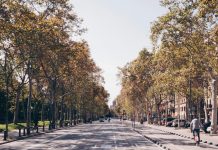 Autumn Dishes in Barcelona: 7 Must-Try Local Favorites Sunny Barcelona street during autumn