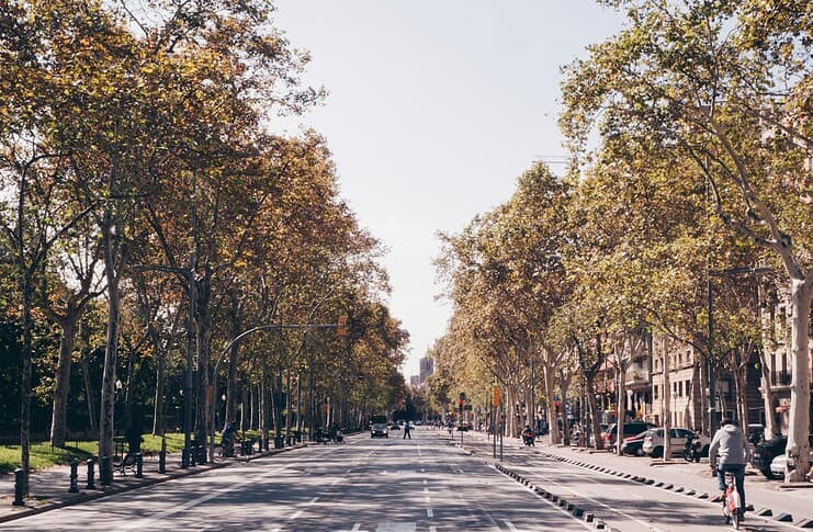 Autumn Dishes in Barcelona: 7 Must-Try Local Favorites Sunny Barcelona street during autumn