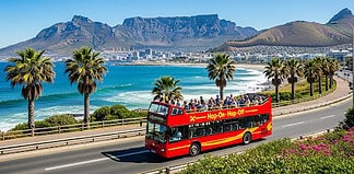 Best Time for a Cape Town Bus Tour: Seasonal Weather & Travel Tips Cape Town hop on hop off sightseeing bus tour