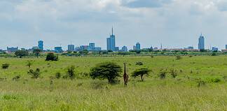 What to Do for a Day Trip in Nairobi: The Ultimate 24-Hour Itinerary