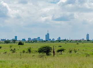 What to Do for a Day Trip in Nairobi: The Ultimate 24-Hour Itinerary - Category – Kenya