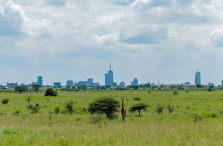 What to Do for a Day Trip in Nairobi: The Ultimate 24-Hour Itinerary - Homepage - Travel Dudes