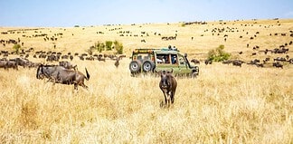 5 Kenyan Safaris You Should Try