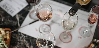 Affordable Wine Tasting in Barcelona and Surrounding Areas - Homepage - Travel Dudes