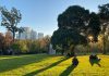 Melbourne With Kids: A Family-Friendly Guide to Exploring the City Parks in Melbourne, Australia