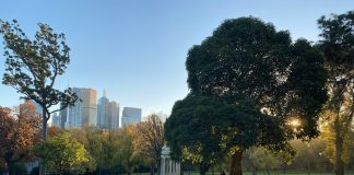 Melbourne With Kids: A Family-Friendly Guide to Exploring the City Parks in Melbourne, Australia