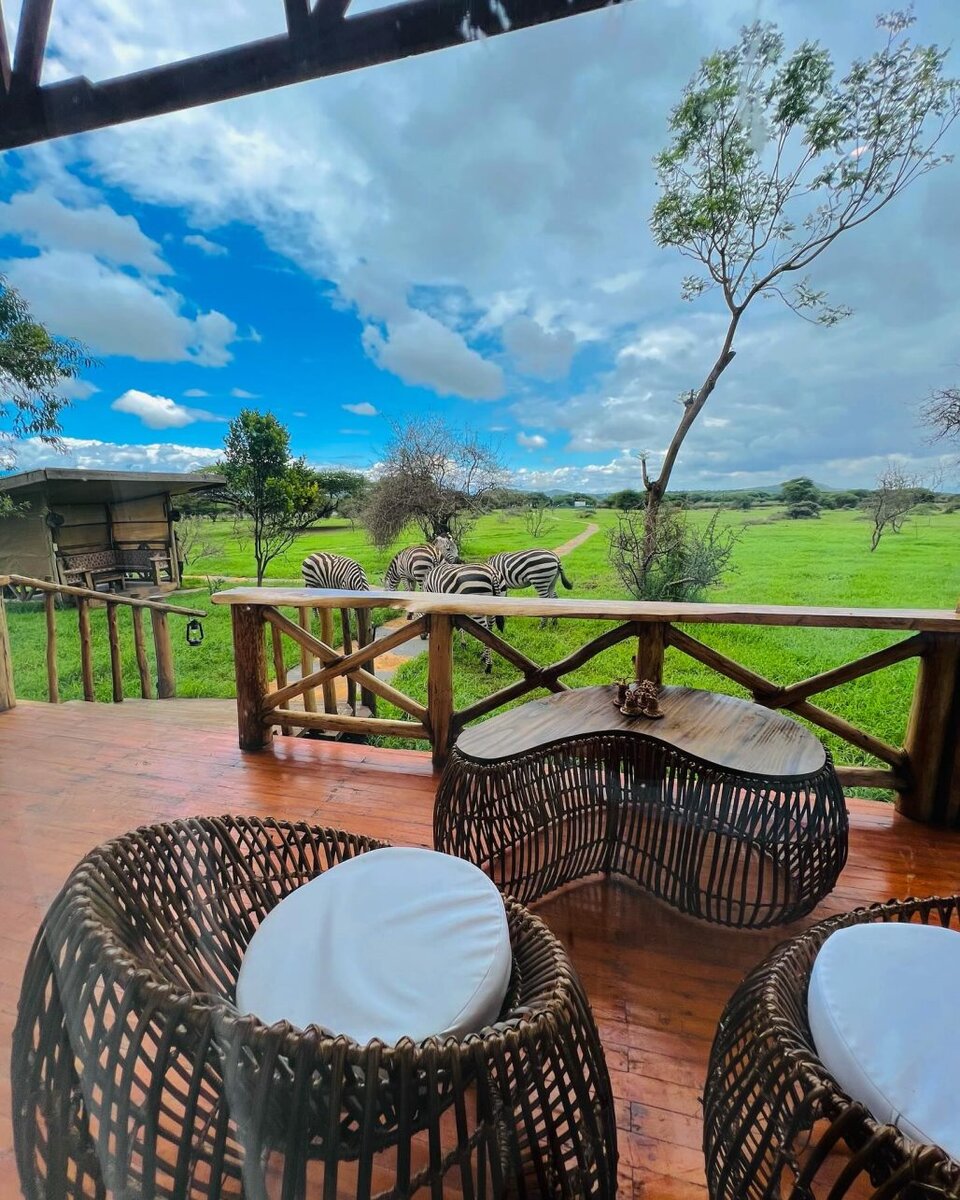 - Serval Wildlife: The most exceptional safari park adventure – get closer than you ever imagined Zebras at Serval Wildlife in Tanzania.