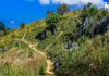 5 Half-Day Hikes With Big Views (Perfect for Burnout Week) Hiking in Thailand