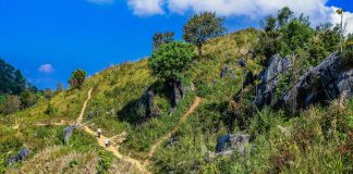 5 Half-Day Hikes With Big Views (Perfect for Burnout Week) Hiking in Thailand