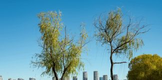 Micro-Adventures for Better Focus: Easy Ways to Fight Off a Heavy Semester Skyline View of Luoyang City with Urban Park. Pic via pexels bingqian-li