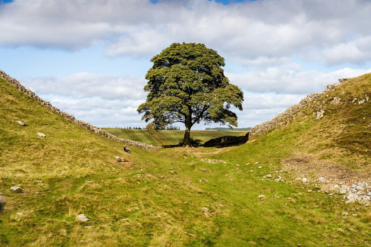 - Where the Roman Empire Ends: Walking Hadrian’s Wall’s Wildest Section Tree of the Sycamore Gap, Hexham, United Kingdom. Pic via andrew-masters -unsplash