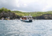 Fast Boat or Private Charter: How to Choose Your Crossing to Nusa Penida People Snorkelling in Bali, Indonesia