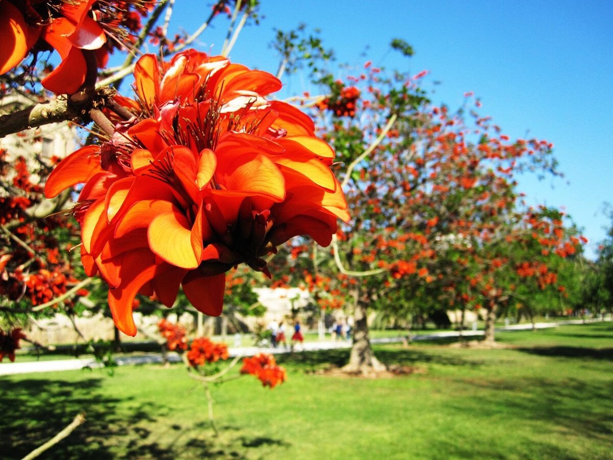 Turia Gardens in Valencia, Spain.