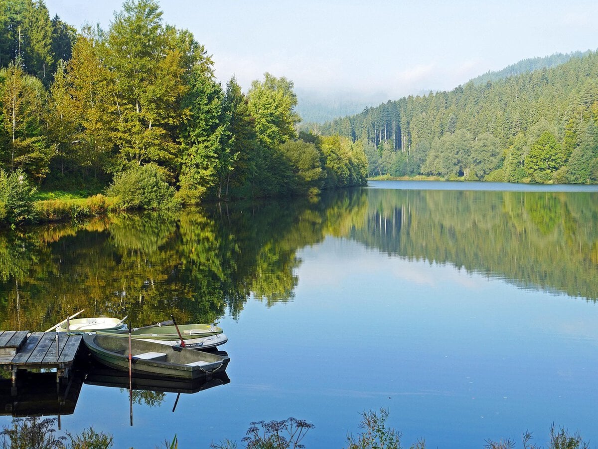Nagoldtalsperre in the Northern Black Forest, Germany.