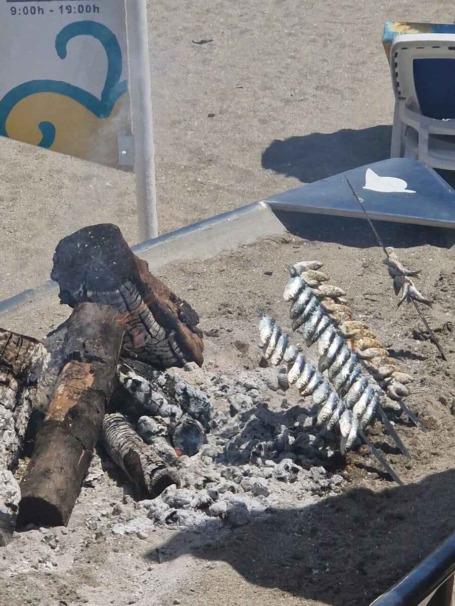 Traditional Andalusian espetos sardines skewers grilling over an open olive-wood fire inside a fishing boat on Fuengirola beach