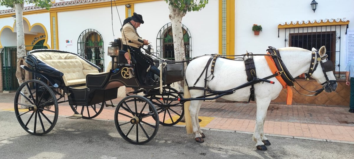 A traditional Spanish horse-drawn carriage driving through the authentic, narrow residential streets of the Los Boliches neighborhood in Fuengirola