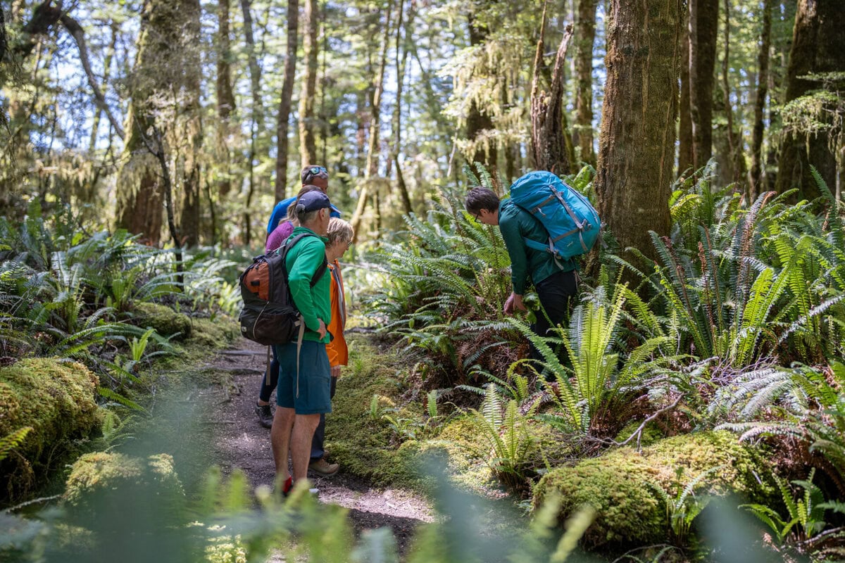 Kepler Track offers 2 options, so there is something for everyone, and plenty of local intrepretation along the way.