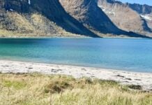 A Guide to Exploring the Outdoors of Northern Norway Couple from behind on a beach in Senja, Northern Norway