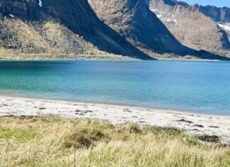 A Guide to Exploring the Outdoors of Northern Norway Couple from behind on a beach in Senja, Northern Norway