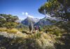 Three Days Experiencing Fiordland’s Great Walks From Te Anau Routeburn-Track-Fiordland-Miles-Holden