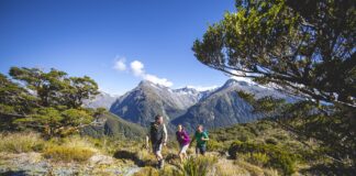 Three Days Experiencing Fiordland’s Great Walks From Te Anau Routeburn-Track-Fiordland-Miles-Holden