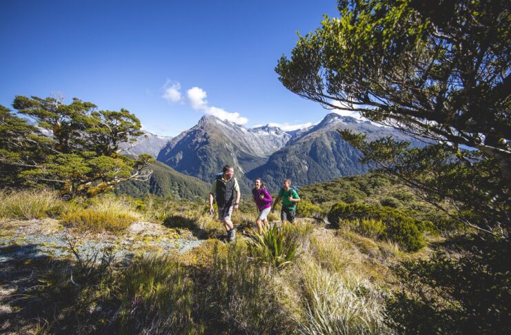 Three Days Experiencing Fiordland’s Great Walks From Te Anau Routeburn-Track-Fiordland-Miles-Holden