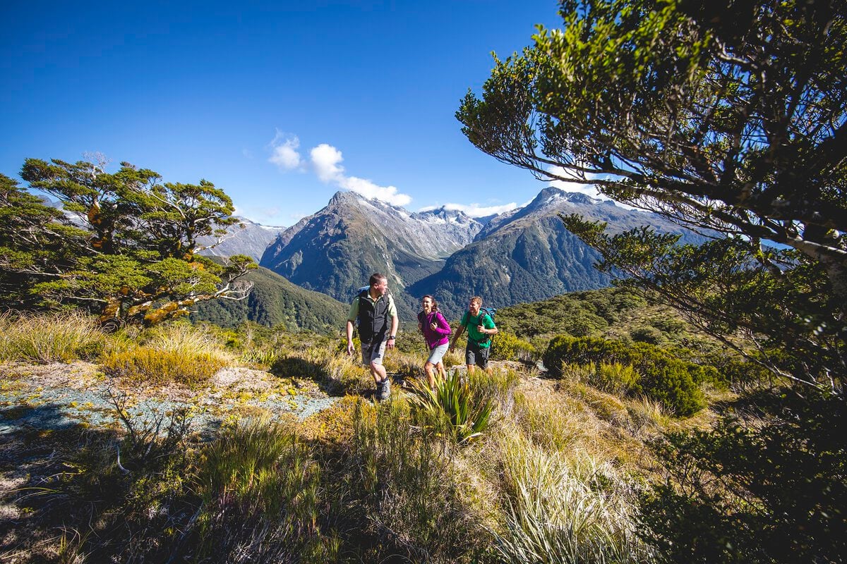 The Routeburn Track offers a walk in the main mountain divide.